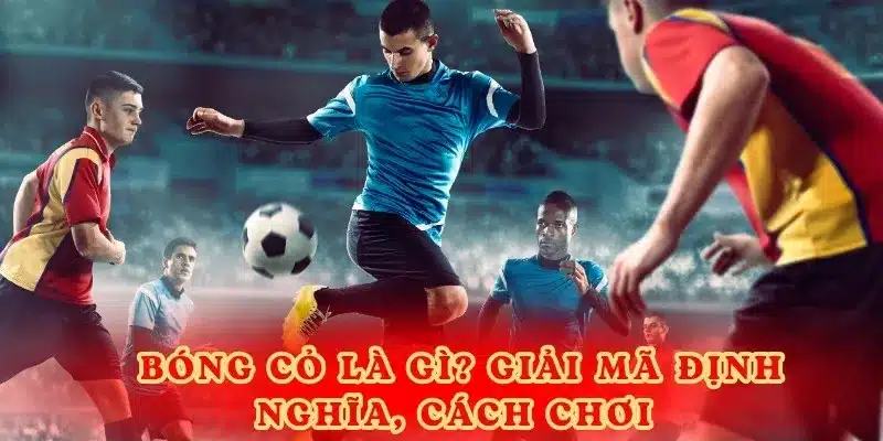 Bóng cỏ là gì? Giải mã từ A - Z về định nghĩa, cách chơi.