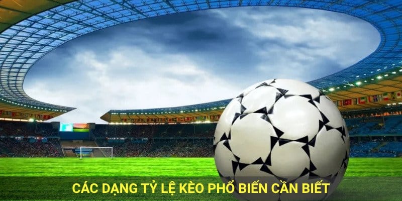 Các dạng tỷ lệ kèo phổ biến cần biết.