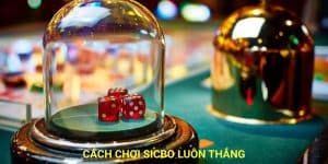 Cách Chơi Sicbo Luôn Thắng | Mẹo Hay Từ Cao Thủ Cá Cược
