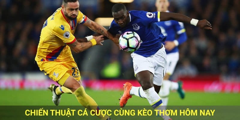 Chiến thuật cá cược cùng kèo thơm hôm nay.