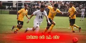 Bóng Cỏ Là Gì? Hướng Dẫn Cách Soi Kèo Dễ Ăn Nhất 2025