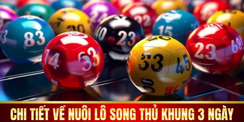 Chi tiết về nuôi lô song thủ khung 3 ngày.