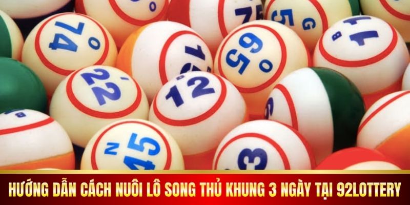 Hướng Dẫn Cách Nuôi Lô Song Thủ Khung 3 Ngày Tại 92lottery